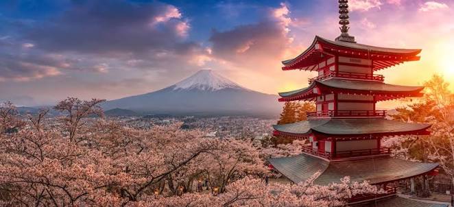 SAKURA JAPAN GROUP